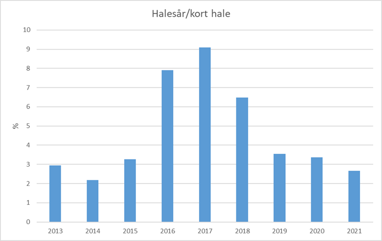 halesår.png