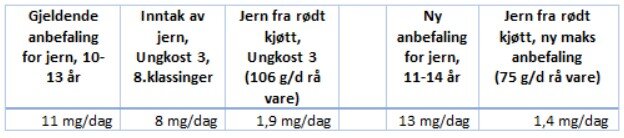 bilde jernmangel.jpg