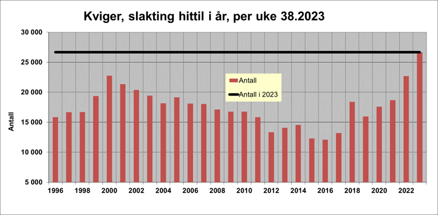 Statistikk kviger uke 38 2023