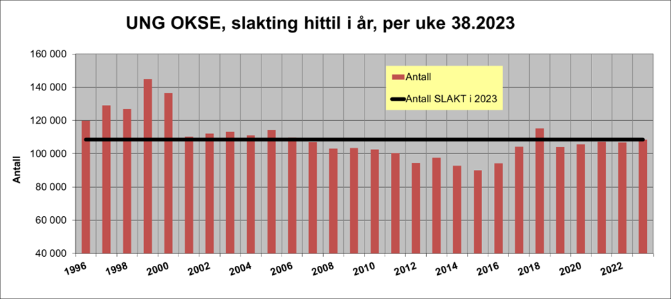 Statistikk på slakting av ung okse per uke 38 2023 