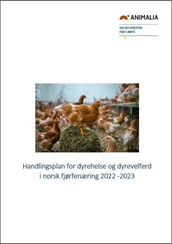 pdf preview