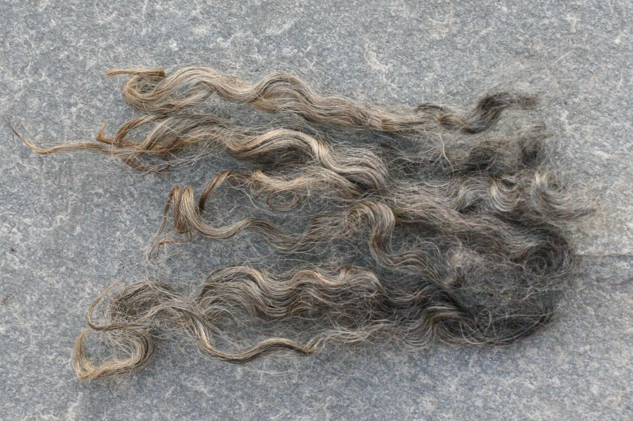 Pelssauull