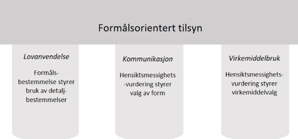 Figur: Søyler i det formålsorienterte tilsynet. Kilde: Aniwel