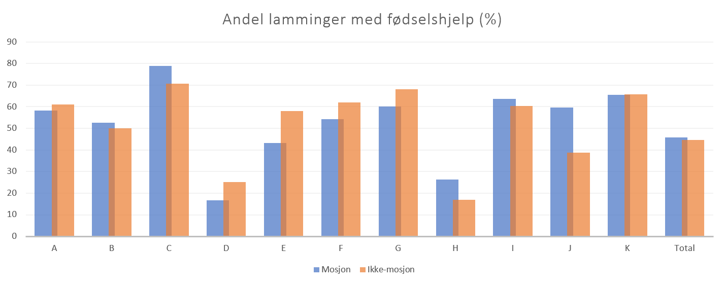 Viser andel lamminger med fødselshjelp i mosjonsgruppen og kontrollgruppen for hver produsent (A-K) og totalt. 