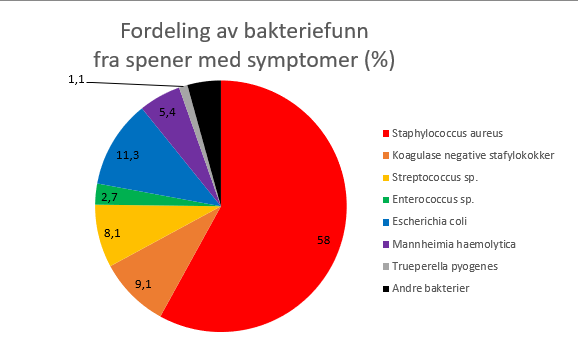 Bakteriefunn i melkeprøver fra melkekjertler med kliniske symptomer hos søye 2018.
