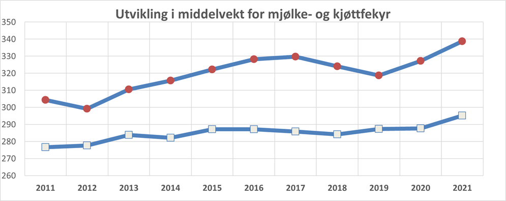 utvikling ku.png
