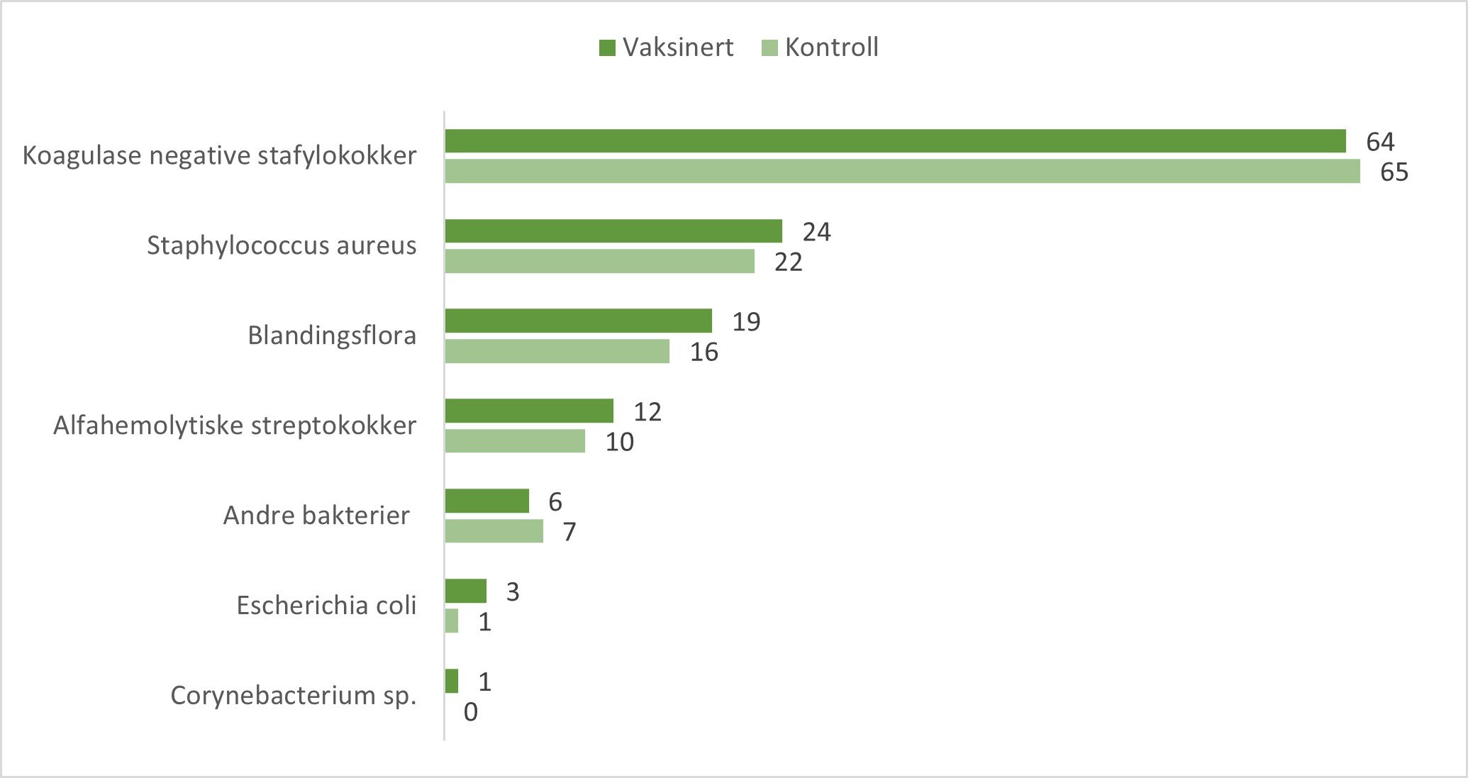 Det totale antall jurkjertler (N=250) med bakteriefunn i melkeprøver fra vaksinert gruppe og uvaksinert kontrollgruppe på våren. Antall positive prøver med den aktuelle bakterien er angitt som tall til høyre for stolpen i figuren. 