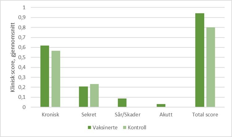 Oversikt over gjennomsnittlig klinisk scoring om høsten fra jurkjertler hvor S. aureus ble isolert (n=34 vaksinerte, n=30 kontroll). Den kliniske scoringen er fordelt på de ulike kategoriene som ble vurdert, samt gjennomsnittlig total klinisk score.